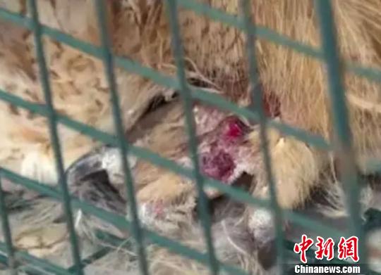 Ĵʯ޴һֻ˳^ ϵȶϧ