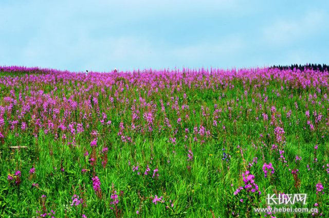 ̬ ɫϣӱƱá˳ ȫβ