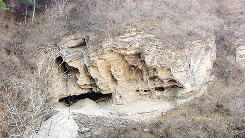 ׸йȫݱ