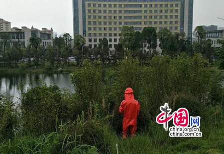 �����м�����������ӻ��շ䳲�𶾷�