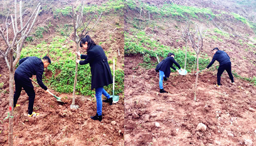 �ݳ�ݺ�ɺ�ʱ�� �ٽڸɾ�ֲ��æ